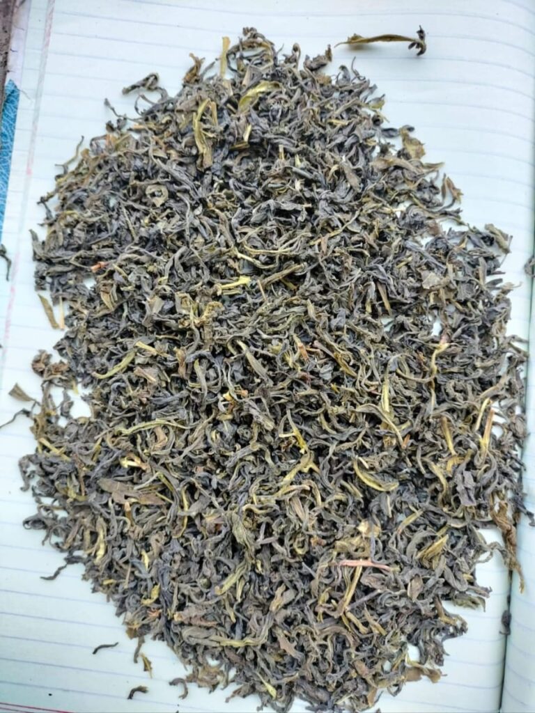 ORGANIC GREEN TEA