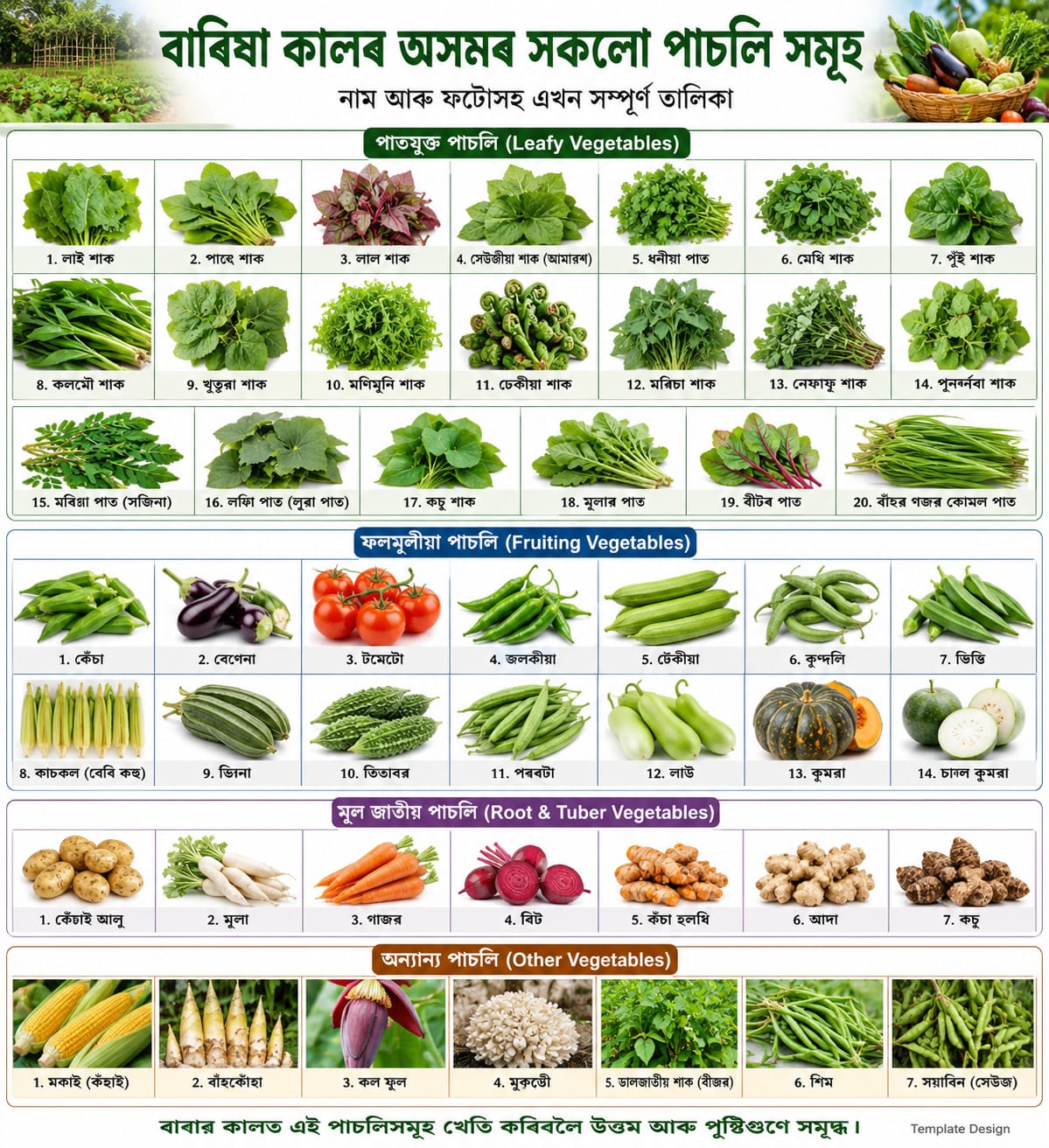জৈৱিকভাবে বাৰিষাকালিন বামখেতি আৰু বানিজ্যিকৰন